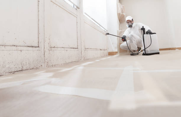 24/7 Emergency Commercial Mold Remediation experts in Quincy, MI