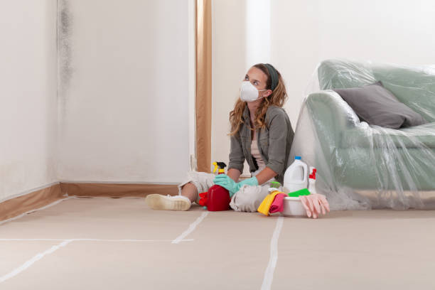 Reliable Commercial Mold Remediation contractor in Quincy, MI by WQB Mold Removal